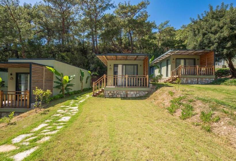 בית מלון כפרי Sea Valley Lodge