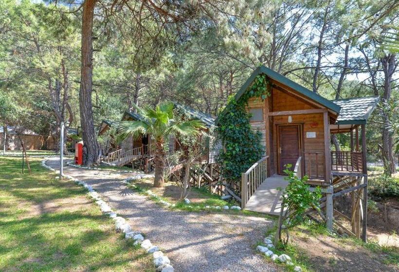 בית מלון כפרי Sea Valley Lodge