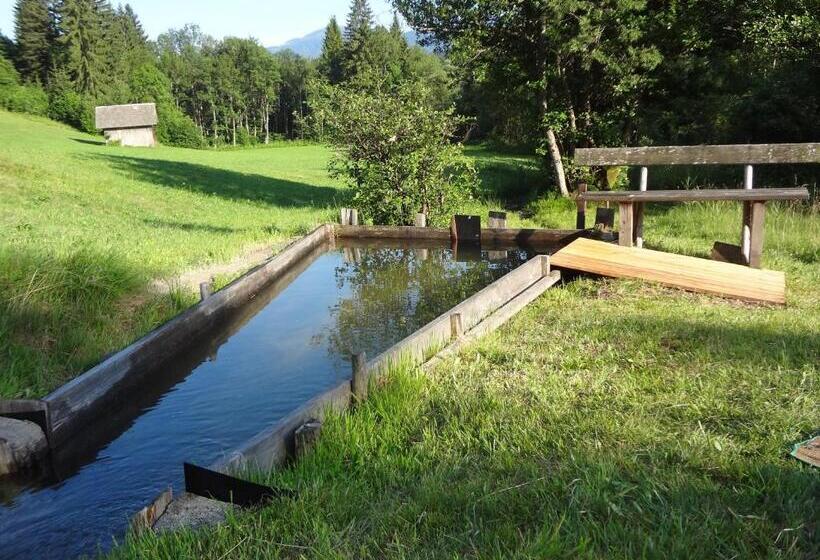 بنسيون Gästehaus Holzfeind