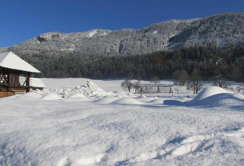 بنسيون Gästehaus Holzfeind