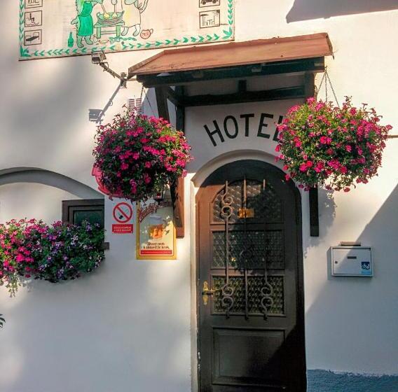 Pensjonat Hostinec U Pejska A Kocicky