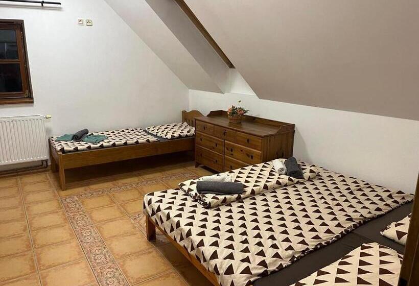 Panzió Penzion Zatisi