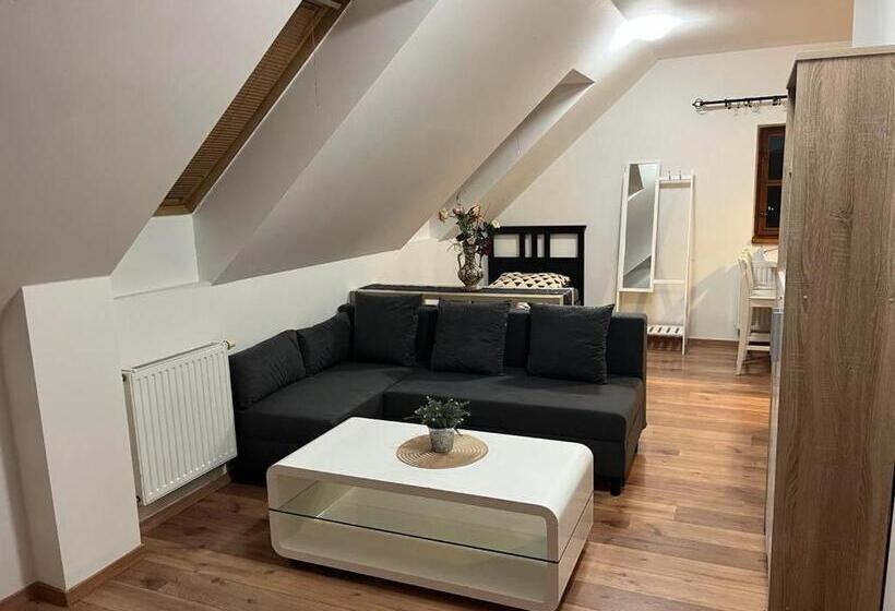 Panzió Penzion Zatisi