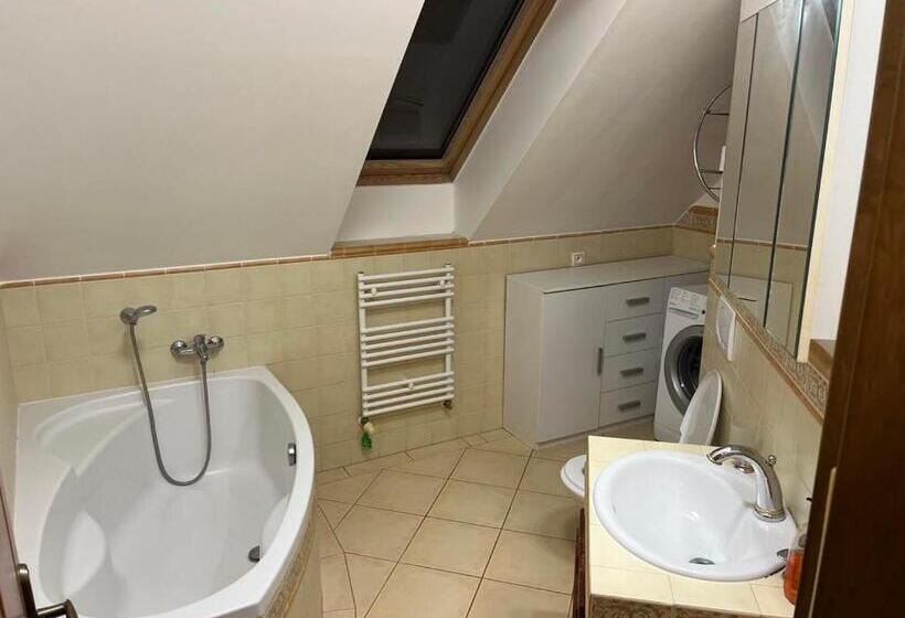 Panzió Penzion Zatisi