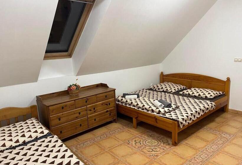 Panzió Penzion Zatisi