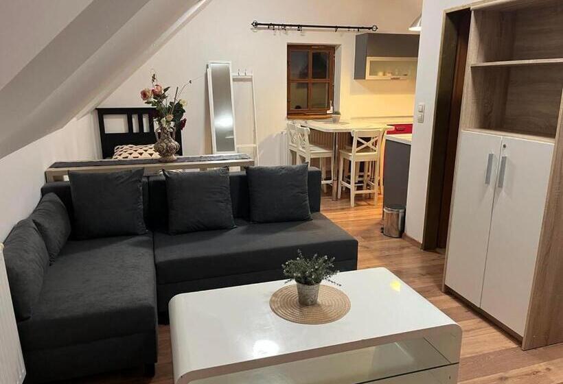 Panzió Penzion Zatisi