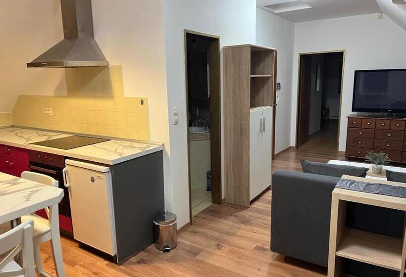 Panzió Penzion Zatisi