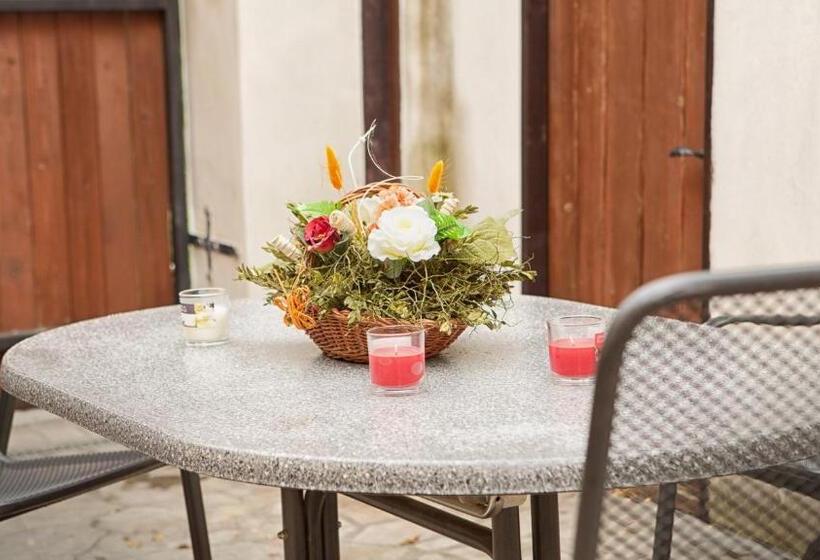 Panzió Penzion Zatisi