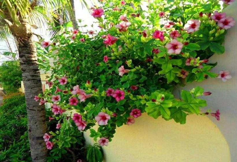 פנסיון Pousada Chantilly