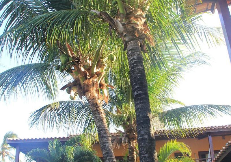 פנסיון Pousada Meeting Point & Kiteschool