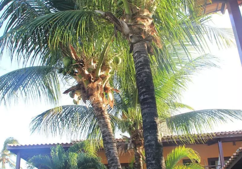 ペンション Pousada Meeting Point & Kiteschool