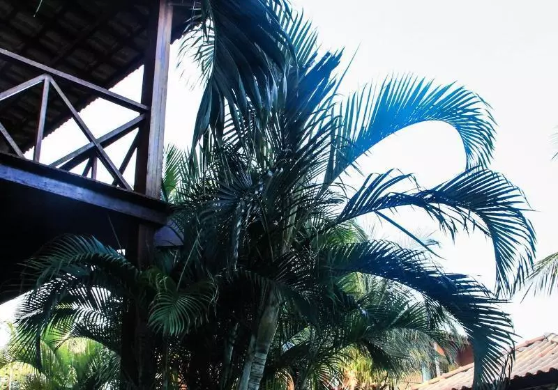 ペンション Pousada Meeting Point & Kiteschool