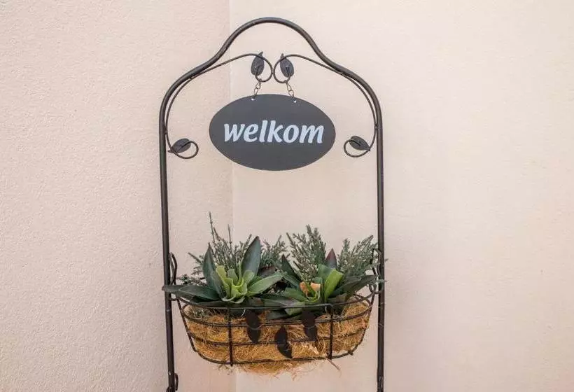 ペンション Schroderhuis Guesthouse No Loadshedding Good Wifi