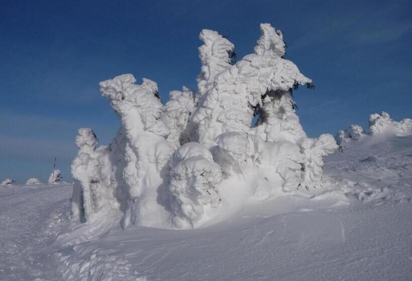 Pension Sonnleit´n   Urlaub Mit Hund