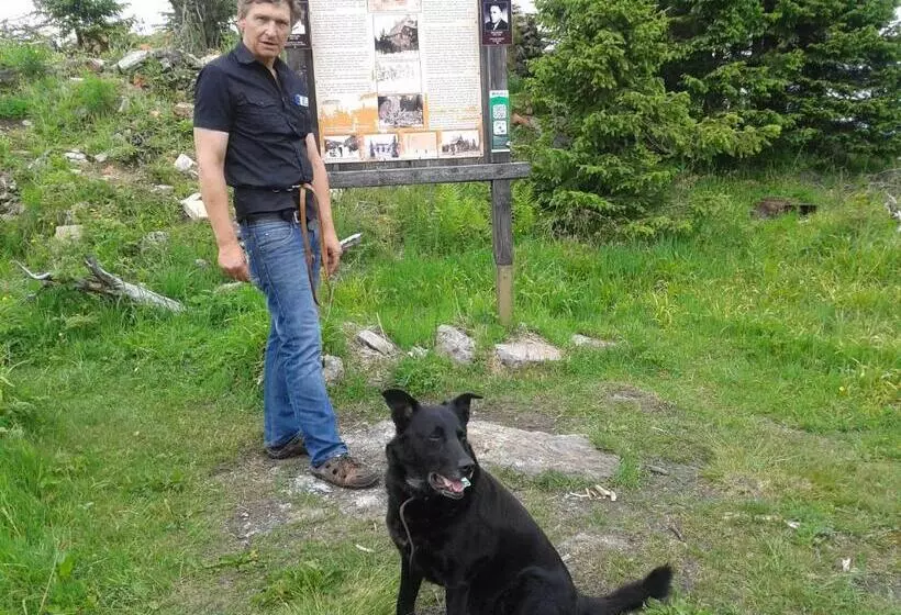 Pension Sonnleit´n Urlaub Mit Hund