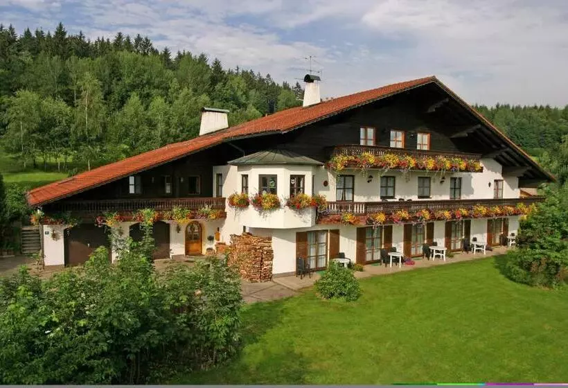 Pension Sonnleit´n Urlaub Mit Hund