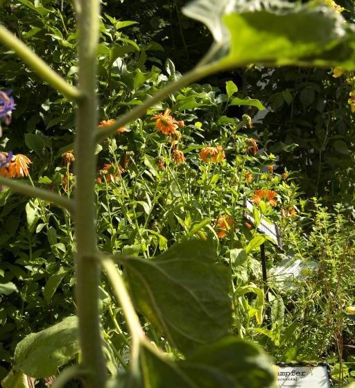 Pension Zueschener Bauernstuben