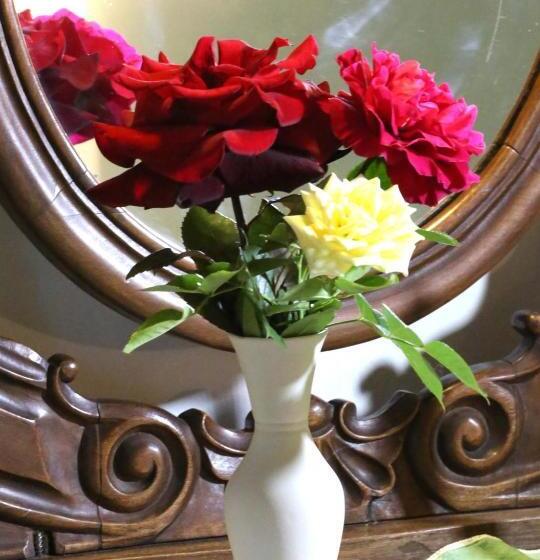 בית מלון כפרי Cascina Delle Rose