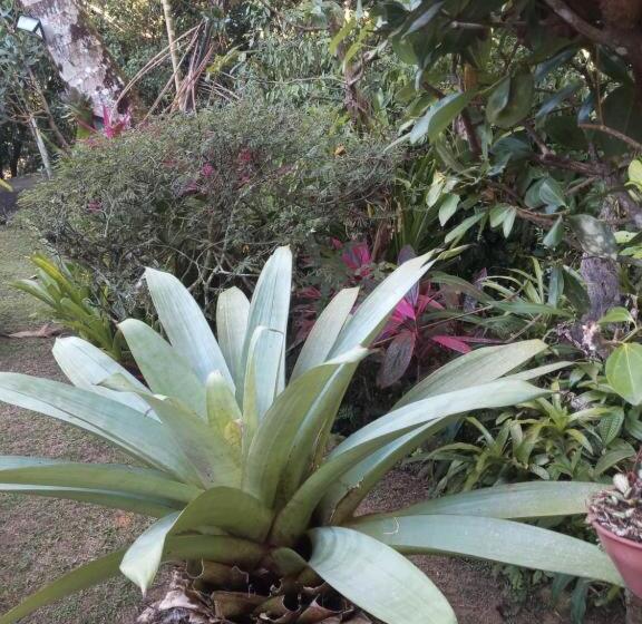 ペンション Pousada Cachoeira