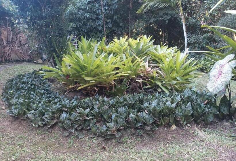 ペンション Pousada Cachoeira