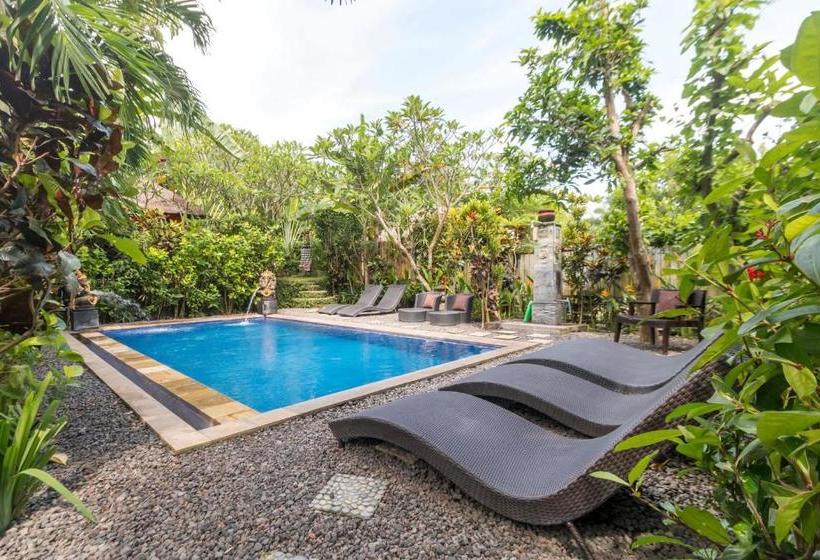 膳宿费 Tropical Bali