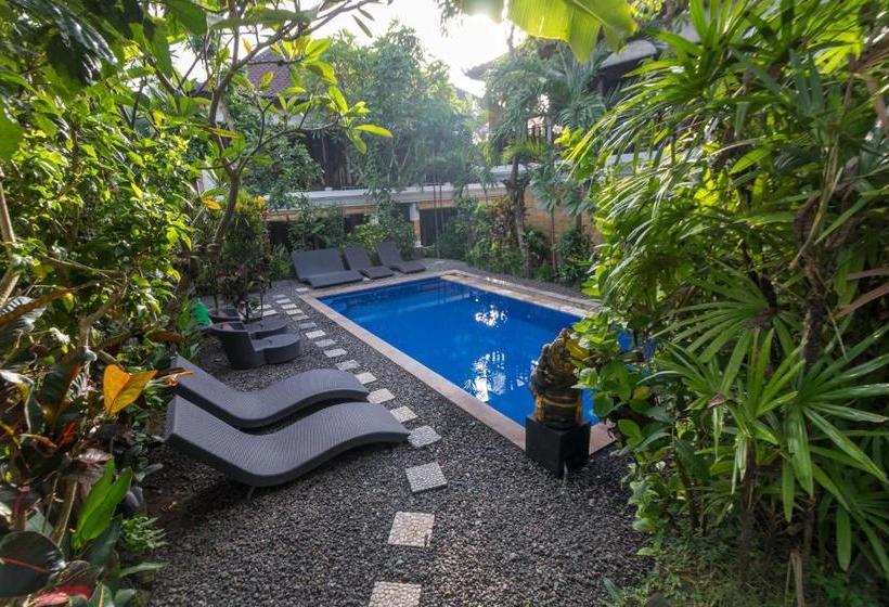 膳宿费 Tropical Bali