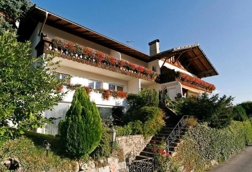 Dornsberg Panoramic Apartments