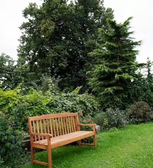 Urlaubspension 'hohes Rott' Und Apartmenthaus