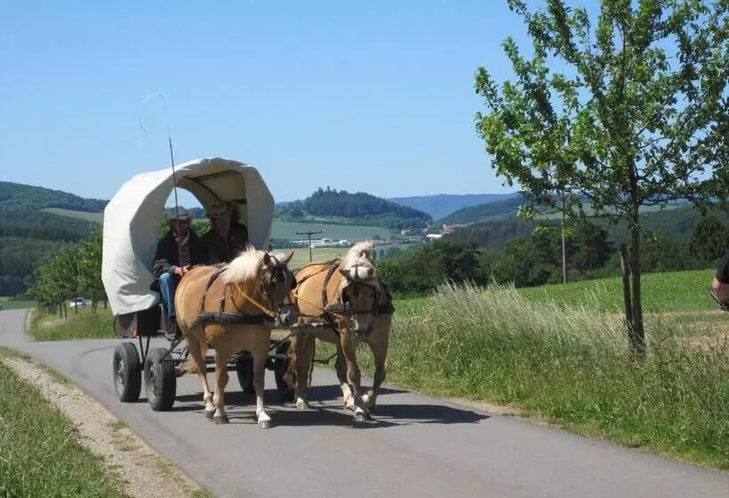 Urlaubspension 'hohes Rott' Und Apartmenthaus