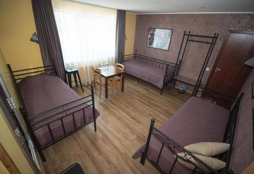 هاستل Aleksandri Guesthouse