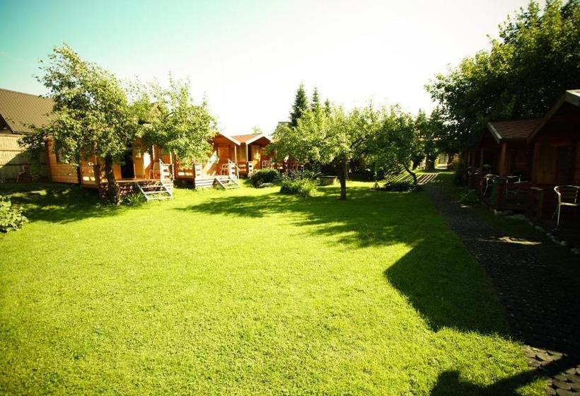 هاستل Aleksandri Guesthouse