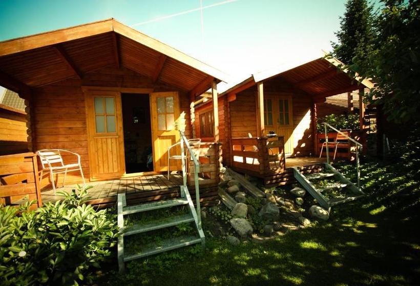 هاستل Aleksandri Guesthouse