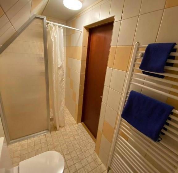 هاستل Aleksandri Guesthouse