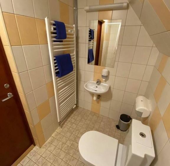 هاستل Aleksandri Guesthouse