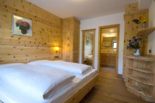 Family And Wellness Residence Ciasa Antersies