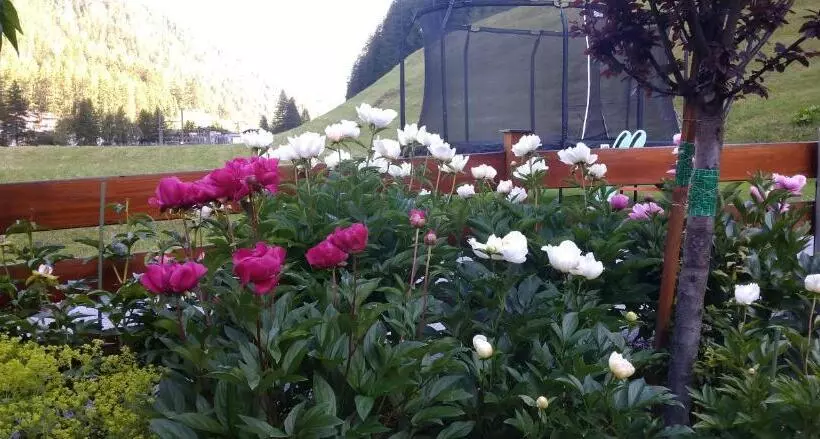 Fremdenpension Alpenruhe