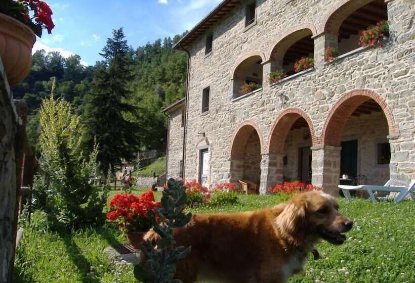 호텔 Agriturismo Casentino