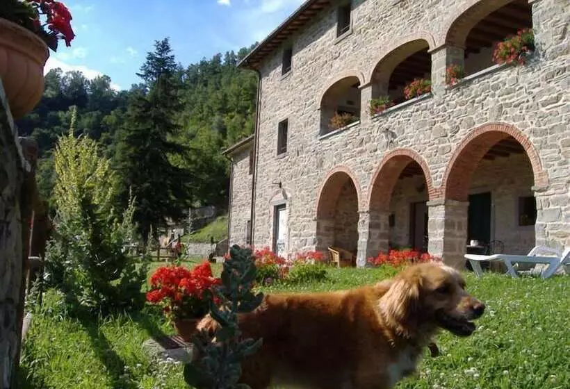 ホテル Agriturismo Casentino