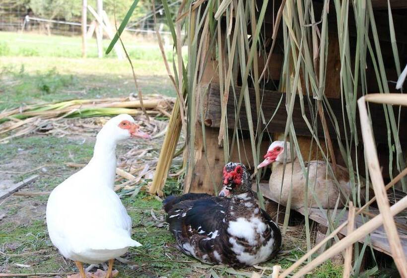 호텔 Agriturismo Casentino