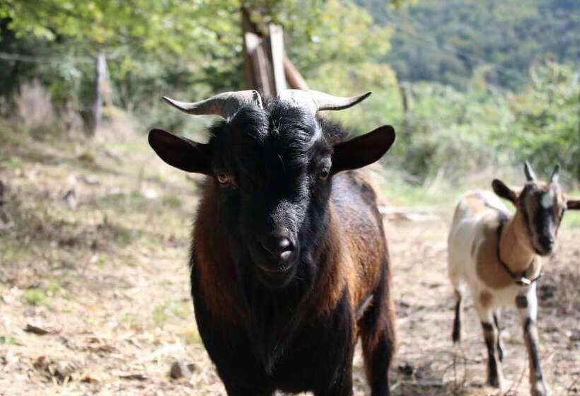 호텔 Agriturismo Casentino