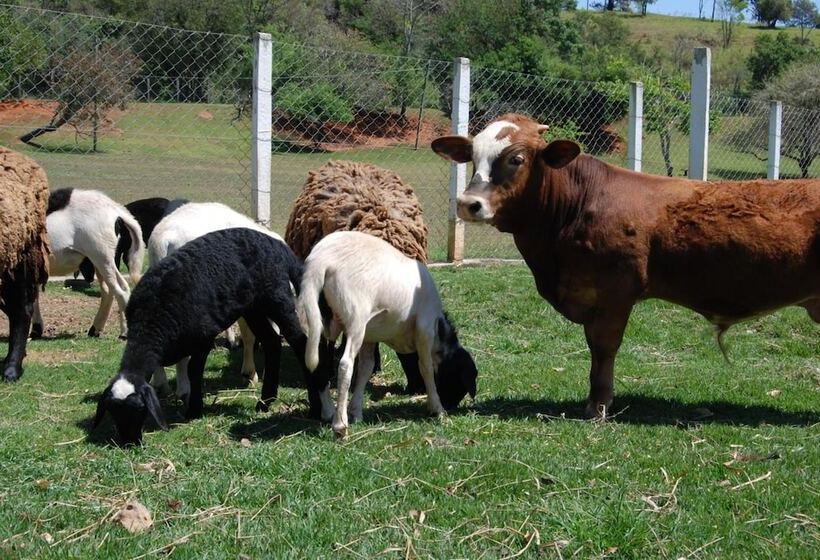 호텔 Fazenda 7 Belo