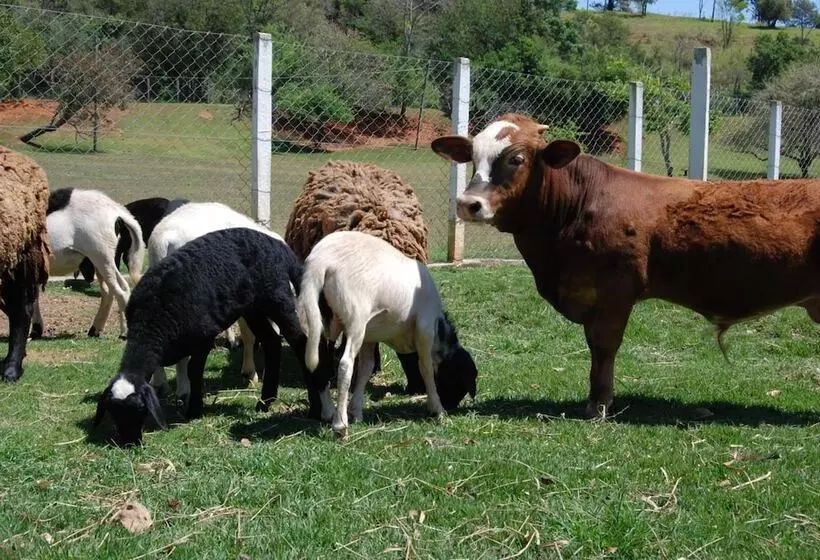 ホテル Fazenda 7 Belo