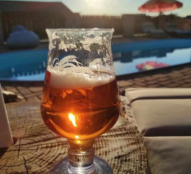 Пансион Penzion Adler