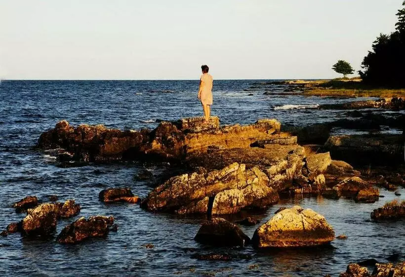 Pension Stf Baskemölla Hostel