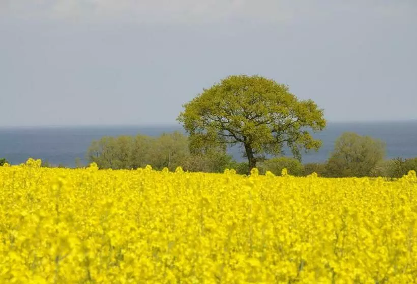 Pension Stf Baskemölla Hostel