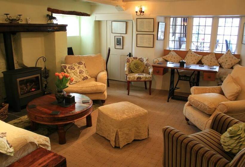 بنسيون The Salty Monk Bed & Breakfast