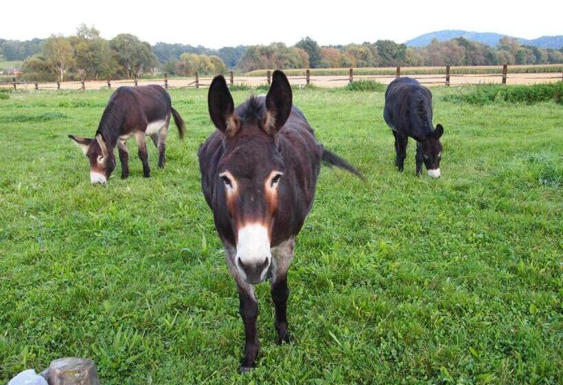 Pension Habermannova Vila