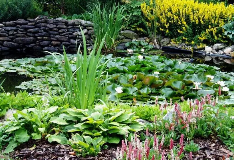 Pension Habermannova Vila