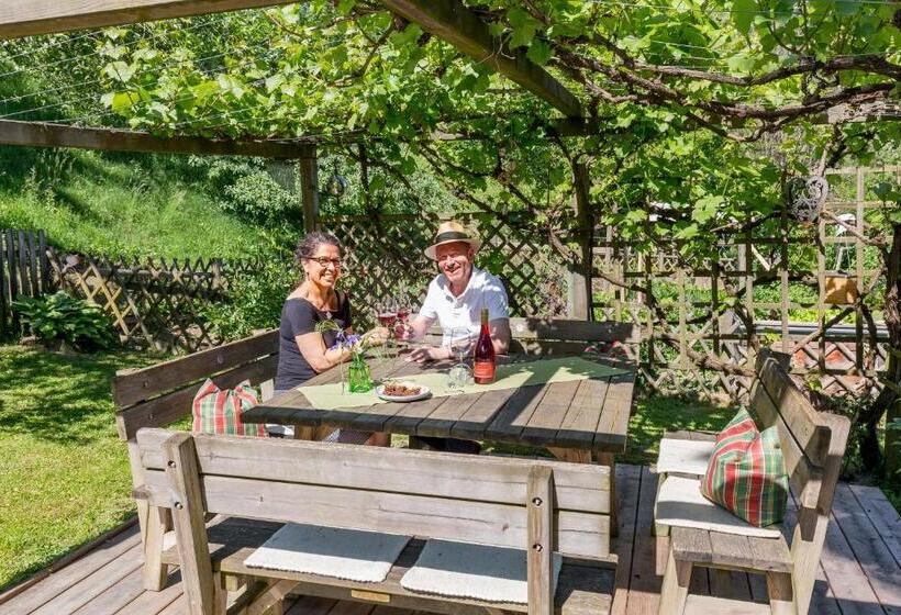 פנסיון Birkenhof Loipersdorf