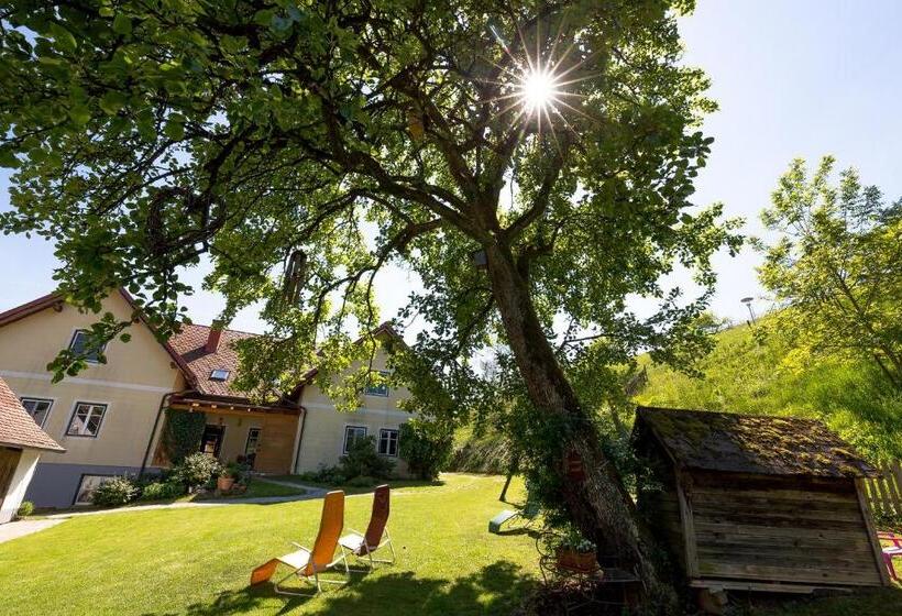 פנסיון Birkenhof Loipersdorf